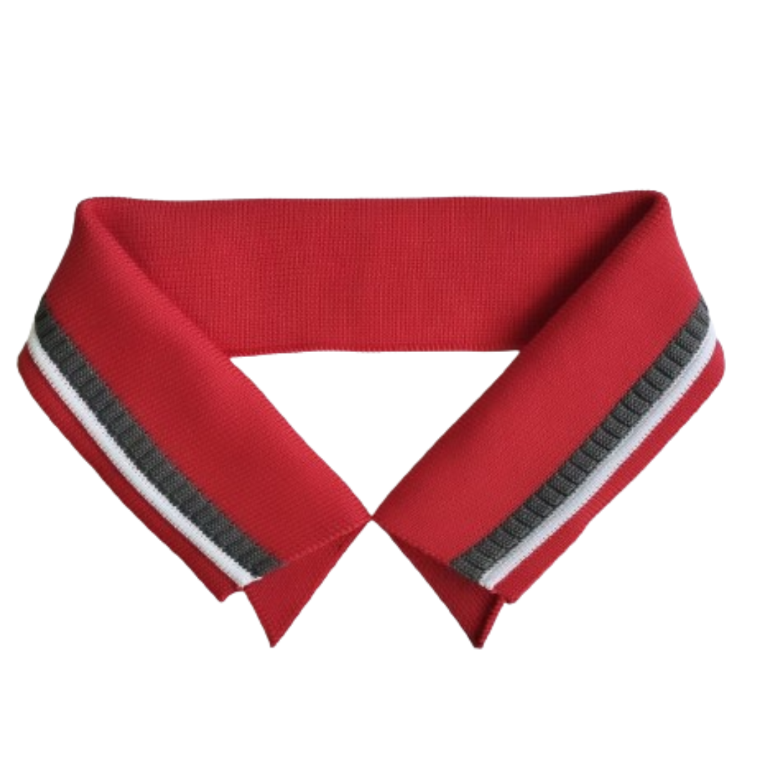 Fabricante de Gola Polo para Camisas